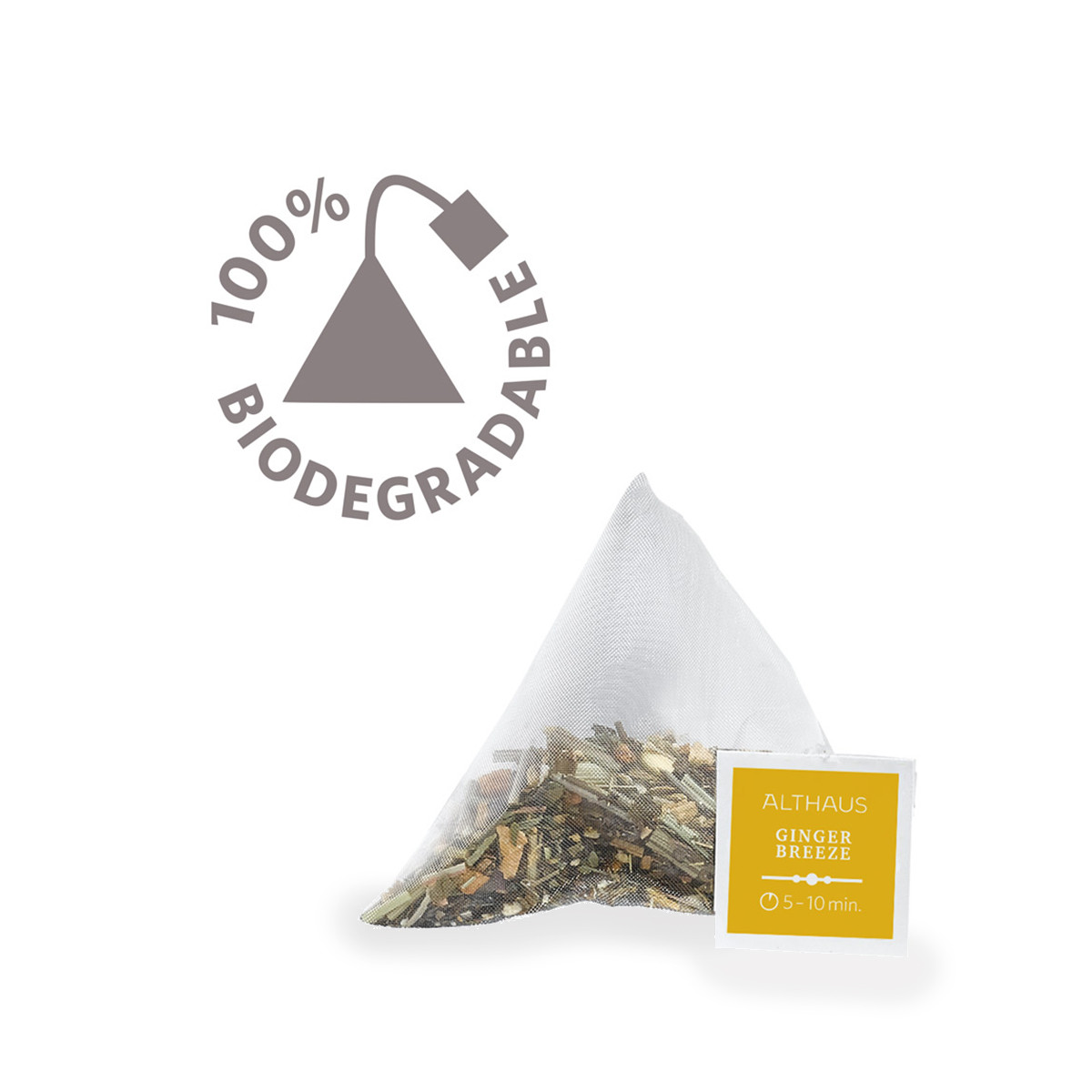 ジンジャー ブリーズ