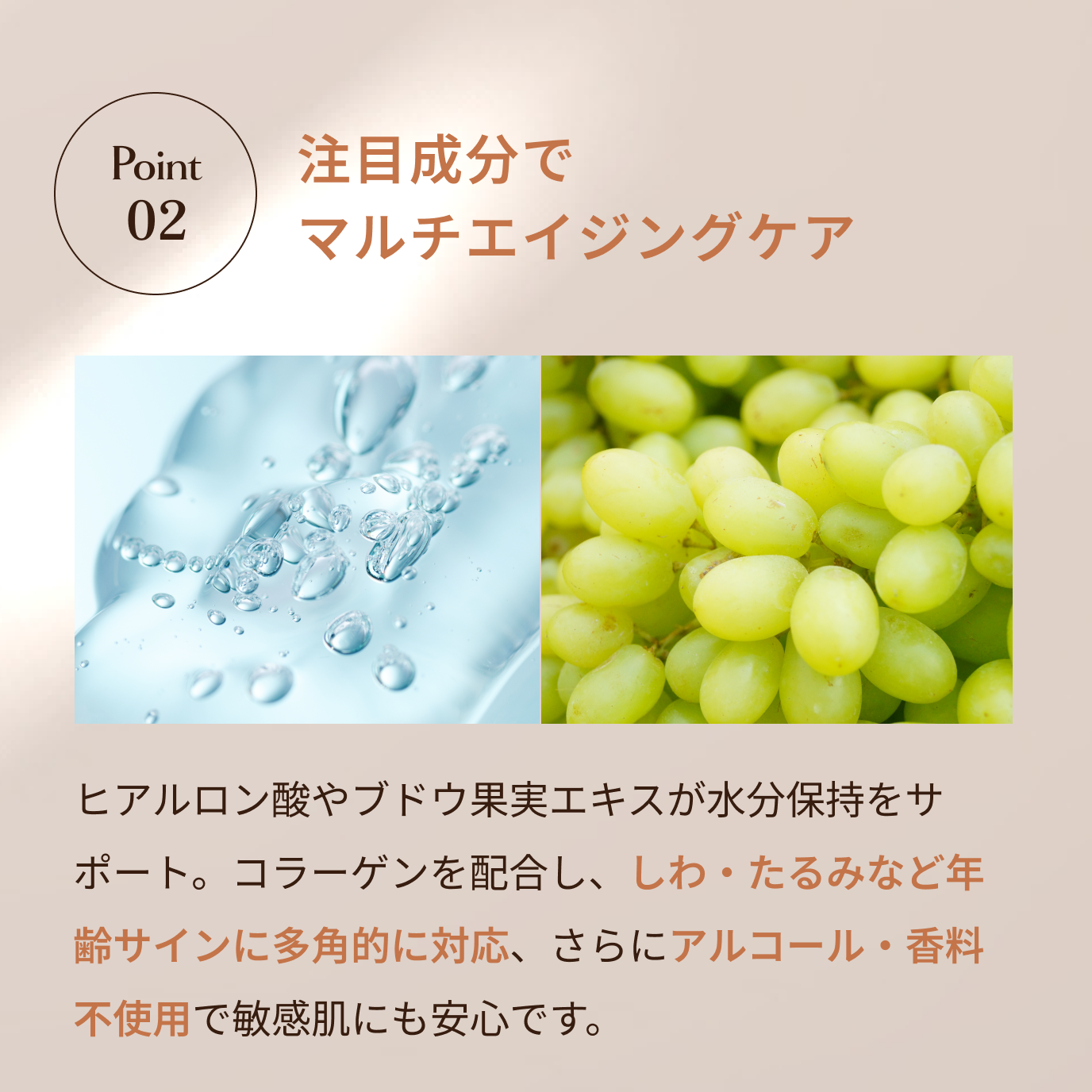 メルチェコレクション / MIREYギフトセット